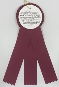 File: 'Aragon The Movement of Water SWAIA 98th Best of Classification Ribbon Verso 1 (2019.08.15)'