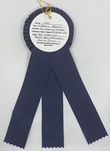 File: 'Aragon The Movement of Water SWAIA 98th Best of Division Ribbon Verso 1 (2019.08.15)'
